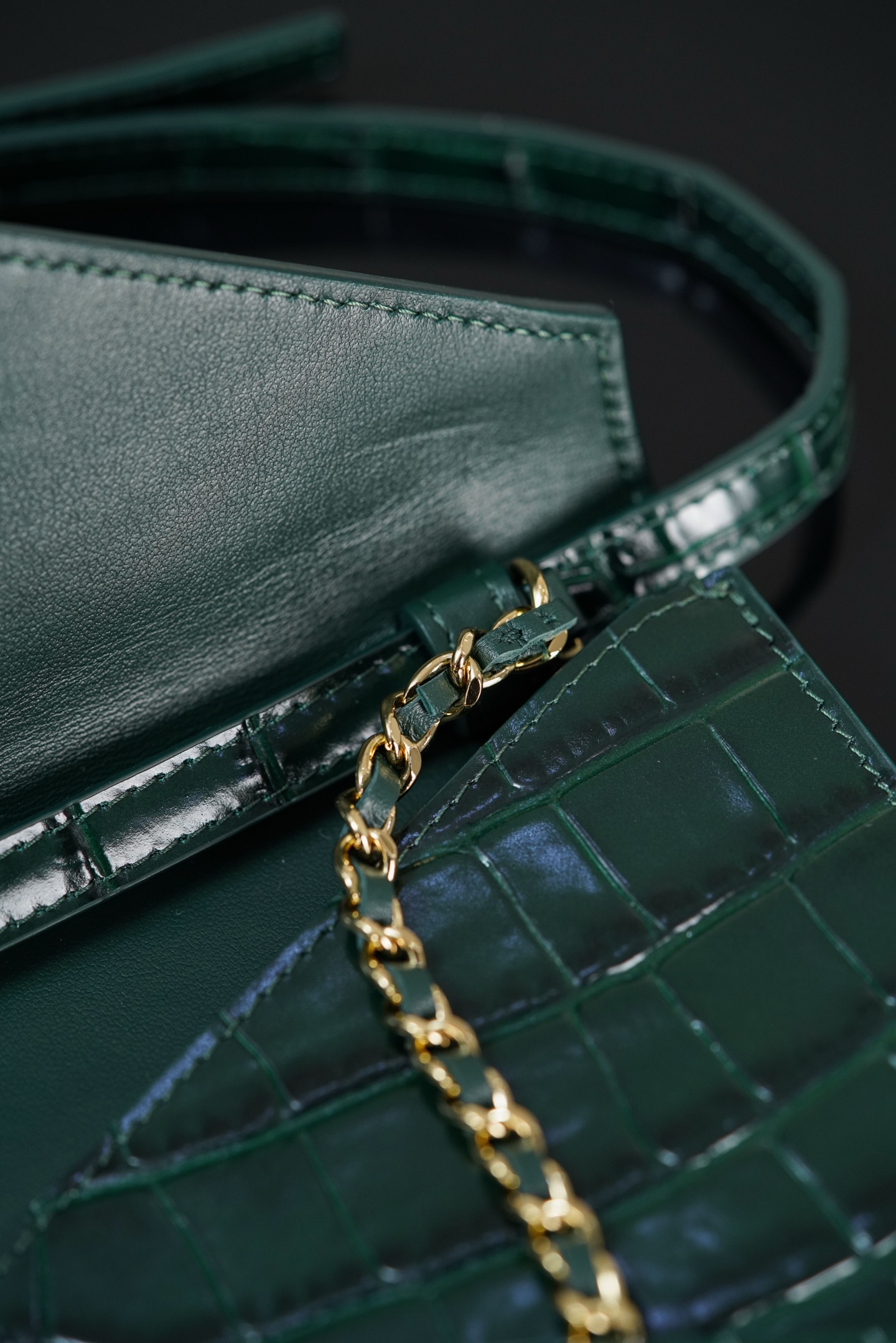 샤넬 샤넬 엘리게이터 엔벨로프 플랩백 레플리카 10번 이미지 - Bag | 세미샵 레플리카 사이트