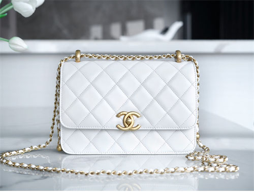 μ€λ¬ μ€λ¬ 24c ππππ¬ CF νλ©λ°± 22cm νμ΄νΈ λ ν리카 1λ² μ΄λ―Έμ§ - Bag | μΈλ―Έμ΅ λ ν리카 μ¬μ΄νΈ