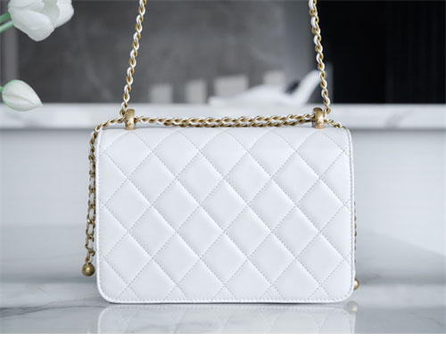 μ€λ¬ μ€λ¬ 24c ππππ¬ CF νλ©λ°± 22cm νμ΄νΈ λ ν리카 3λ² μ΄λ―Έμ§ - Bag | μΈλ―Έμ΅ λ ν리카 μ¬μ΄νΈ