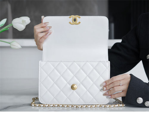 μ€λ¬ μ€λ¬ 24c ππππ¬ CF νλ©λ°± 22cm νμ΄νΈ λ ν리카 9λ² μ΄λ―Έμ§ - Bag | μΈλ―Έμ΅ λ ν리카 μ¬μ΄νΈ