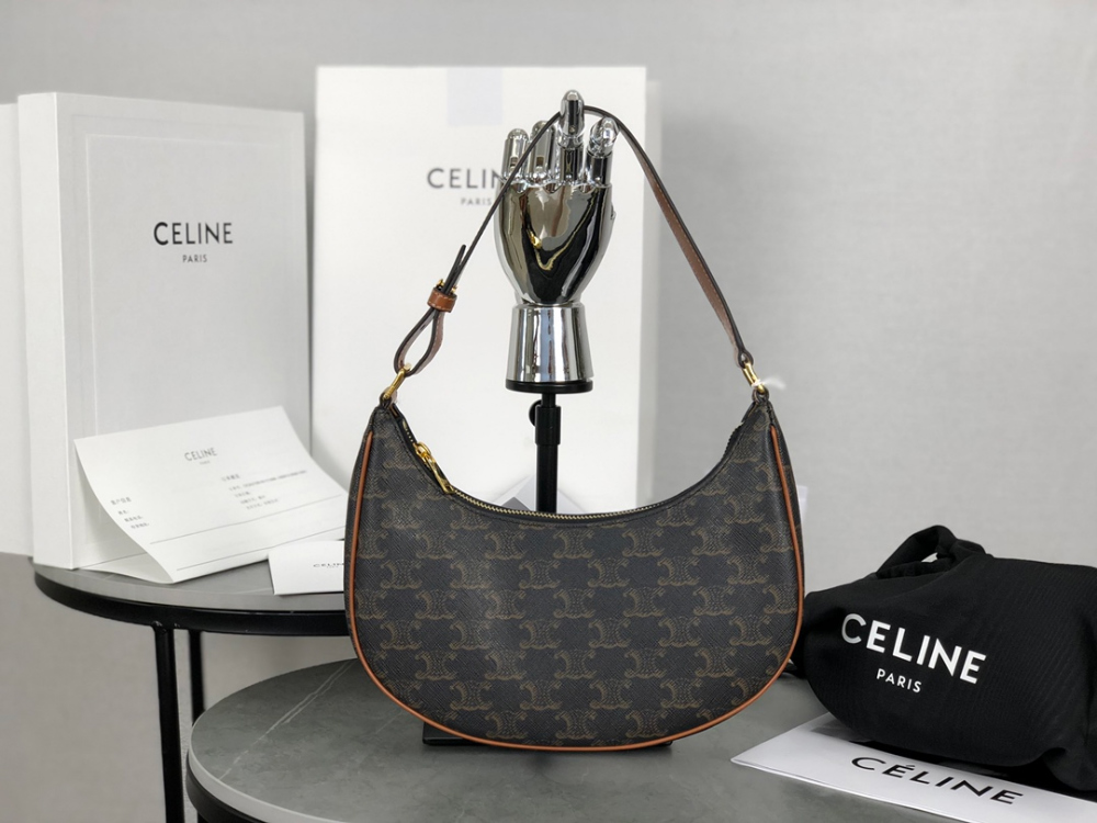 Celine Ava Bag in Triomphe Canvas and Calfskin