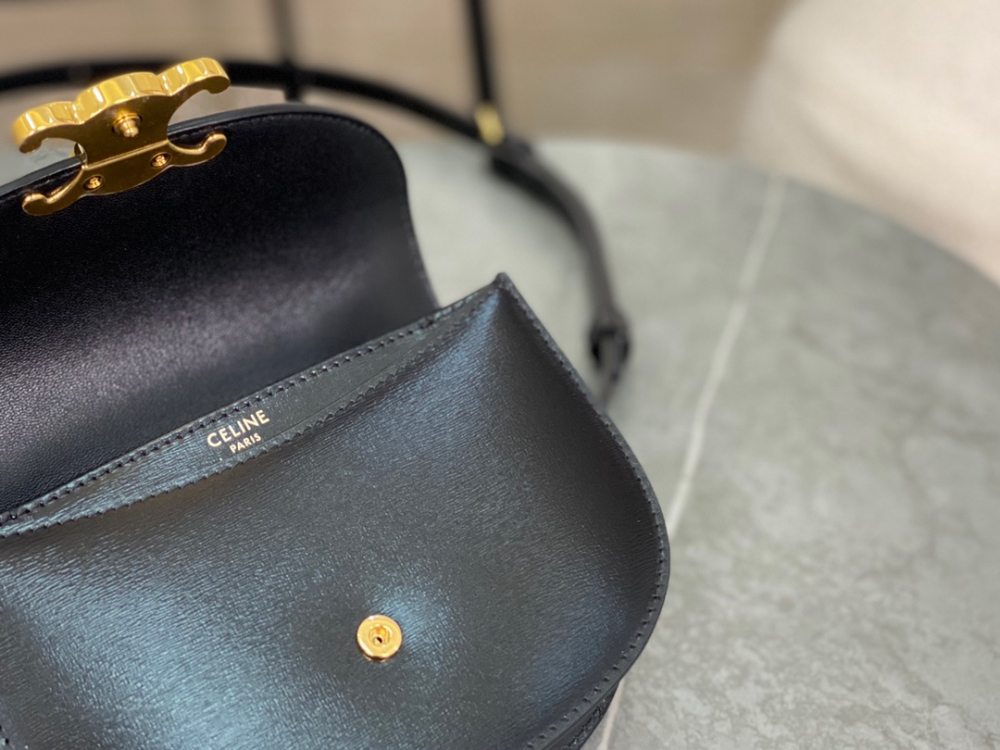 Celine Mini Clea Vesace Calfskin - 상세 이미지