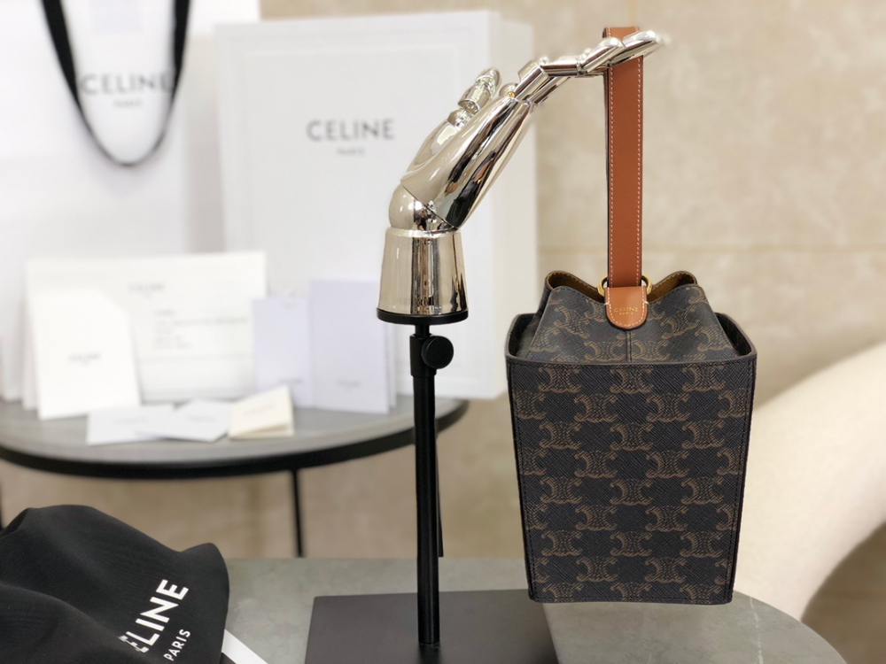 Celine Strap Box Triomphe Canvas and Calfskin