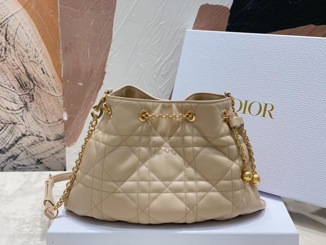 D I O R Dior Ammi Medium 레플리카 26번 이미지 - Bag | 세미샵 레플리카 사이트