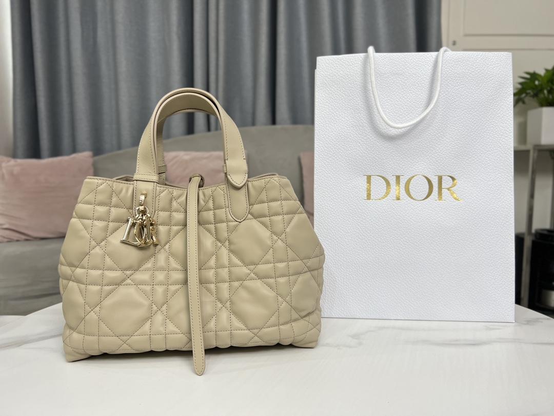 D I O R Dior Toujours 레플리카 54번 이미지 - Bag | 세미샵 레플리카 사이트