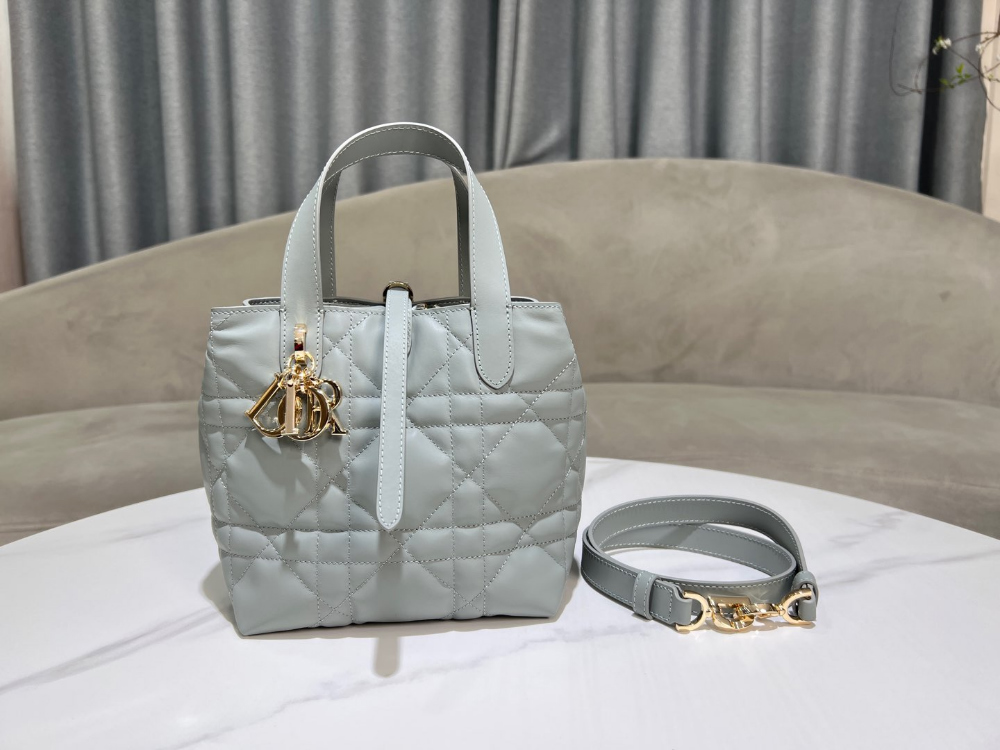 Dior Toujours Vertical Small