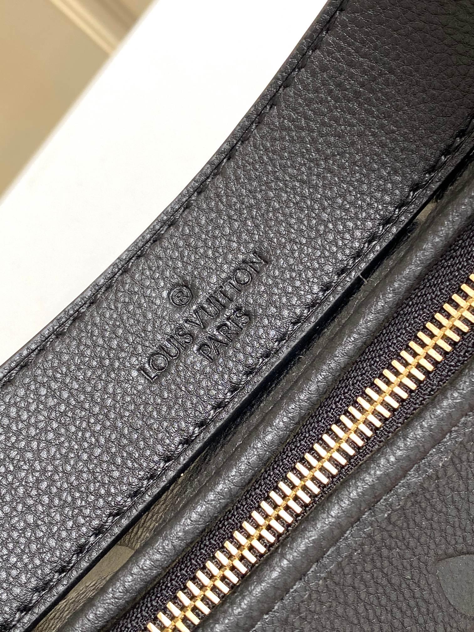 Louis Vuitton Carry All PM - 상세 이미지