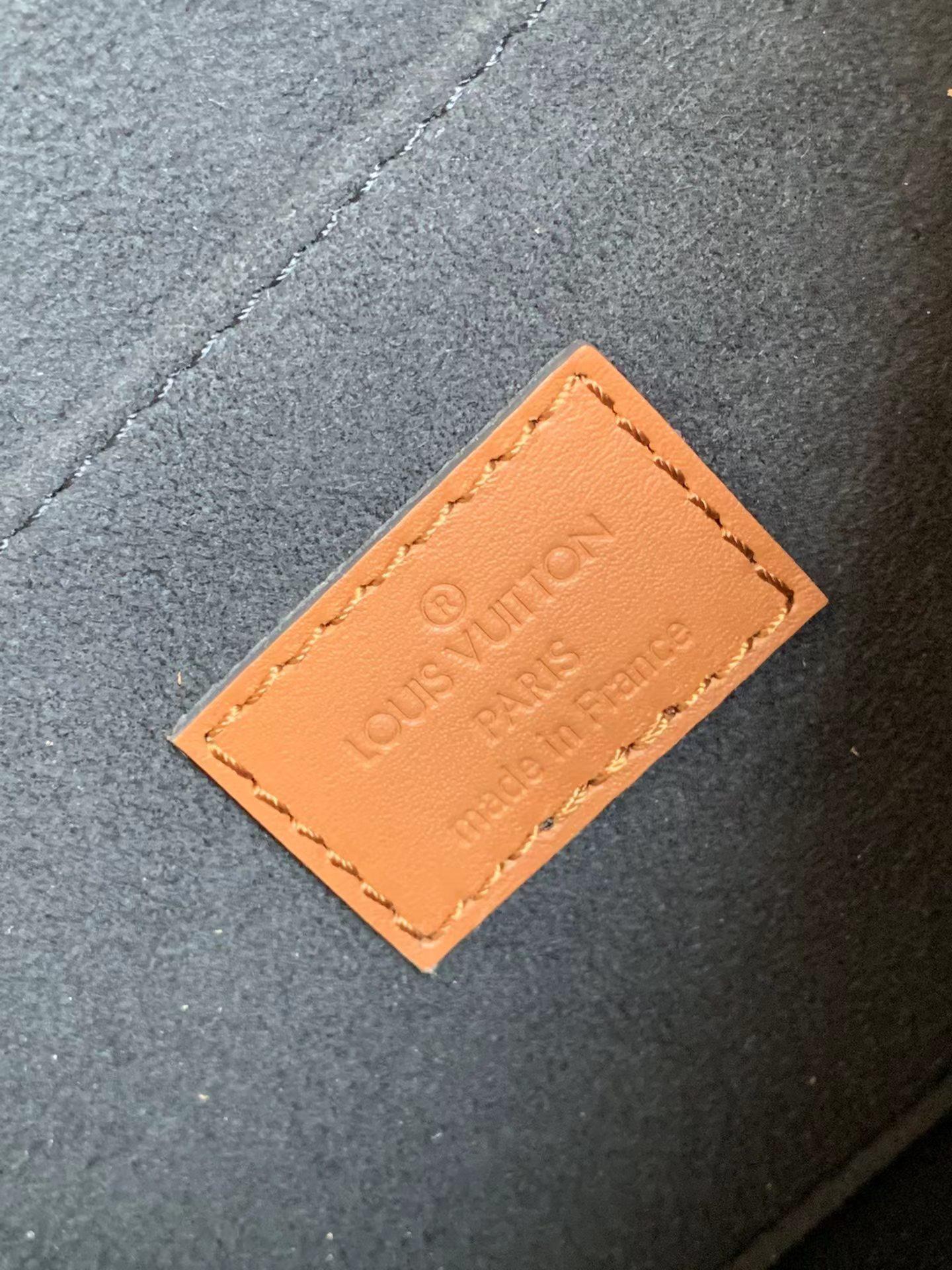 Louis Vuitton Dauphine Mini MM - 상세 이미지