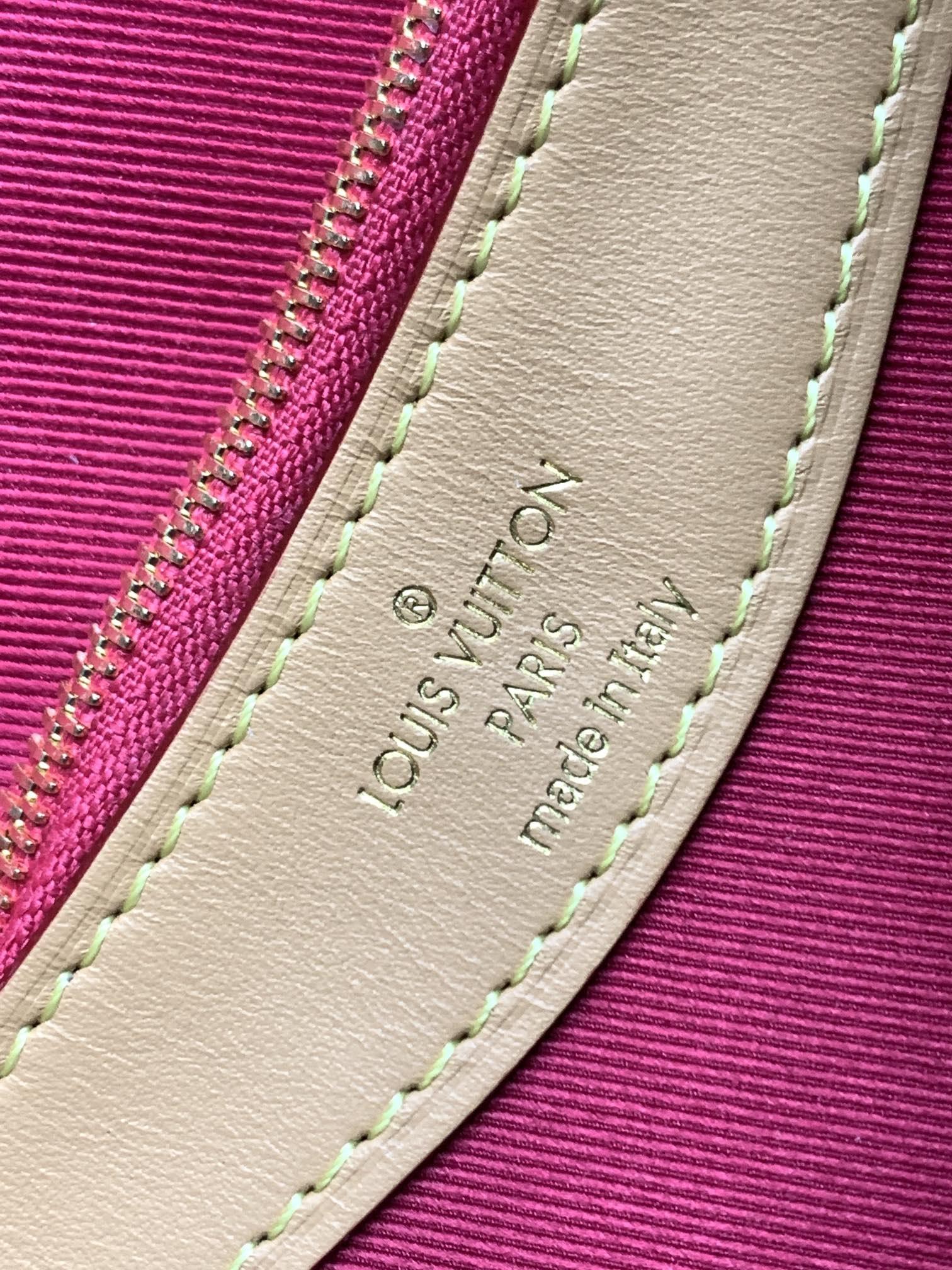 Louis Vuitton Diane Monogram - 상세 이미지