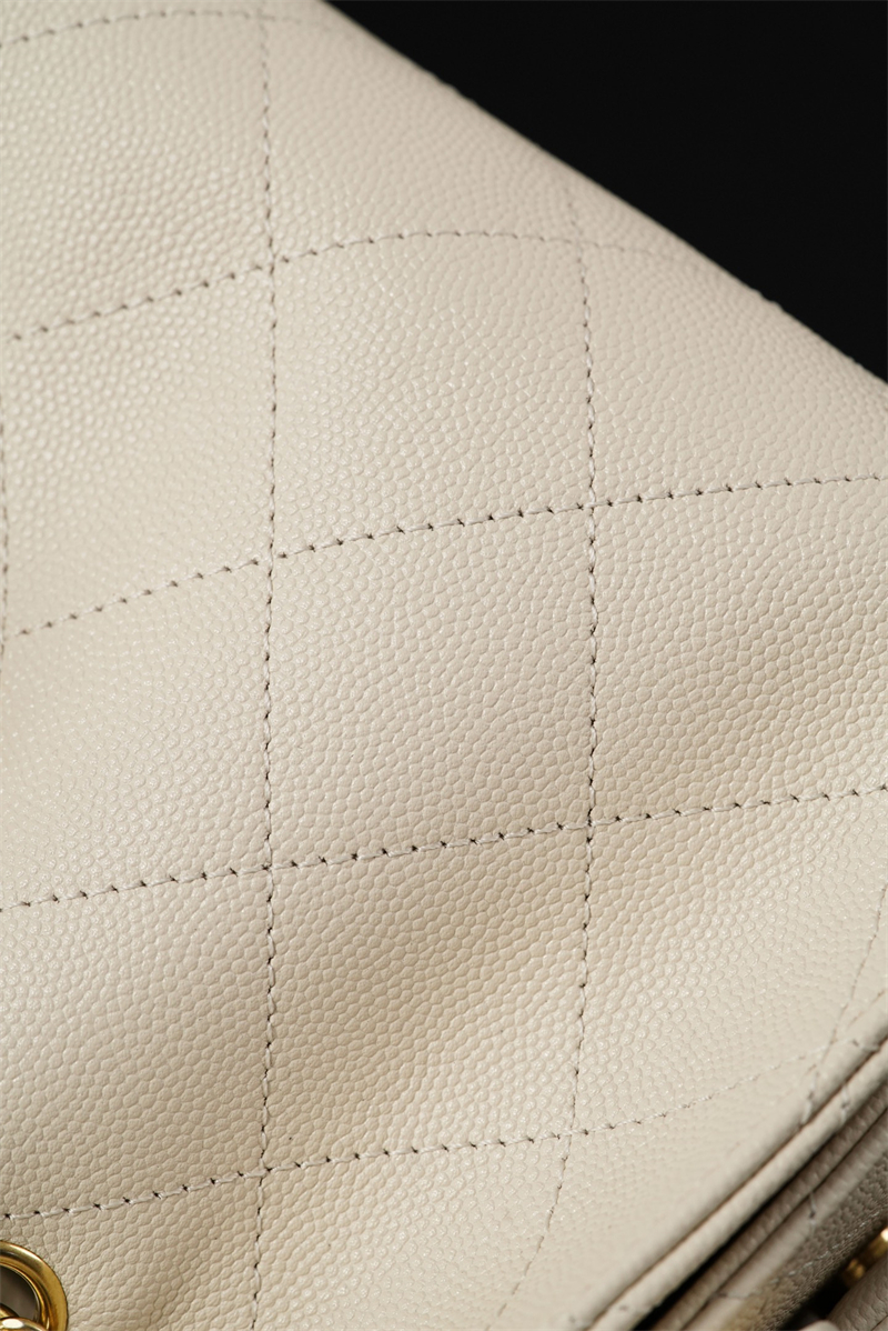 샤넬 샤넬 26C 25 미니 호보 백 그레인드 카프스킨 골드 메탈 화이트 레플리카 11번 이미지 - Bag | 세미샵 레플리카 사이트