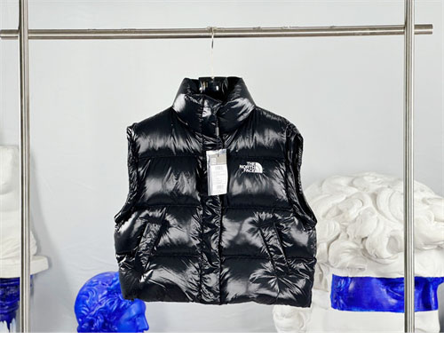 *기타 노스페이스 86 글로시 디테처블 다운 패딩 레플리카 12번 이미지 - 의류 | 세미샵 레플리카 사이트