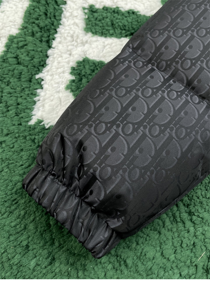 디올 디올 오블리크 다운 자켓（레어） 레플리카 9번 이미지 - 의류 | 세미샵 레플리카 사이트