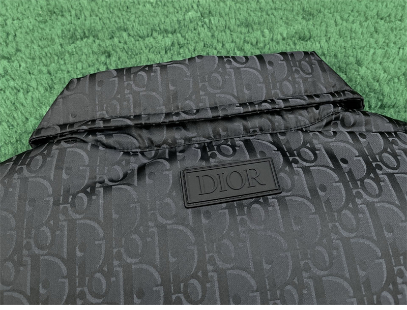 디올 디올 오블리크 다운 자켓（레어） 레플리카 16번 이미지 - 의류 | 세미샵 레플리카 사이트