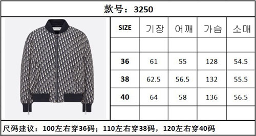 디올 디올 오블리크 클래식 봄버 자켓 블루종 레플리카 10번 이미지 - 의류 | 세미샵 레플리카 사이트