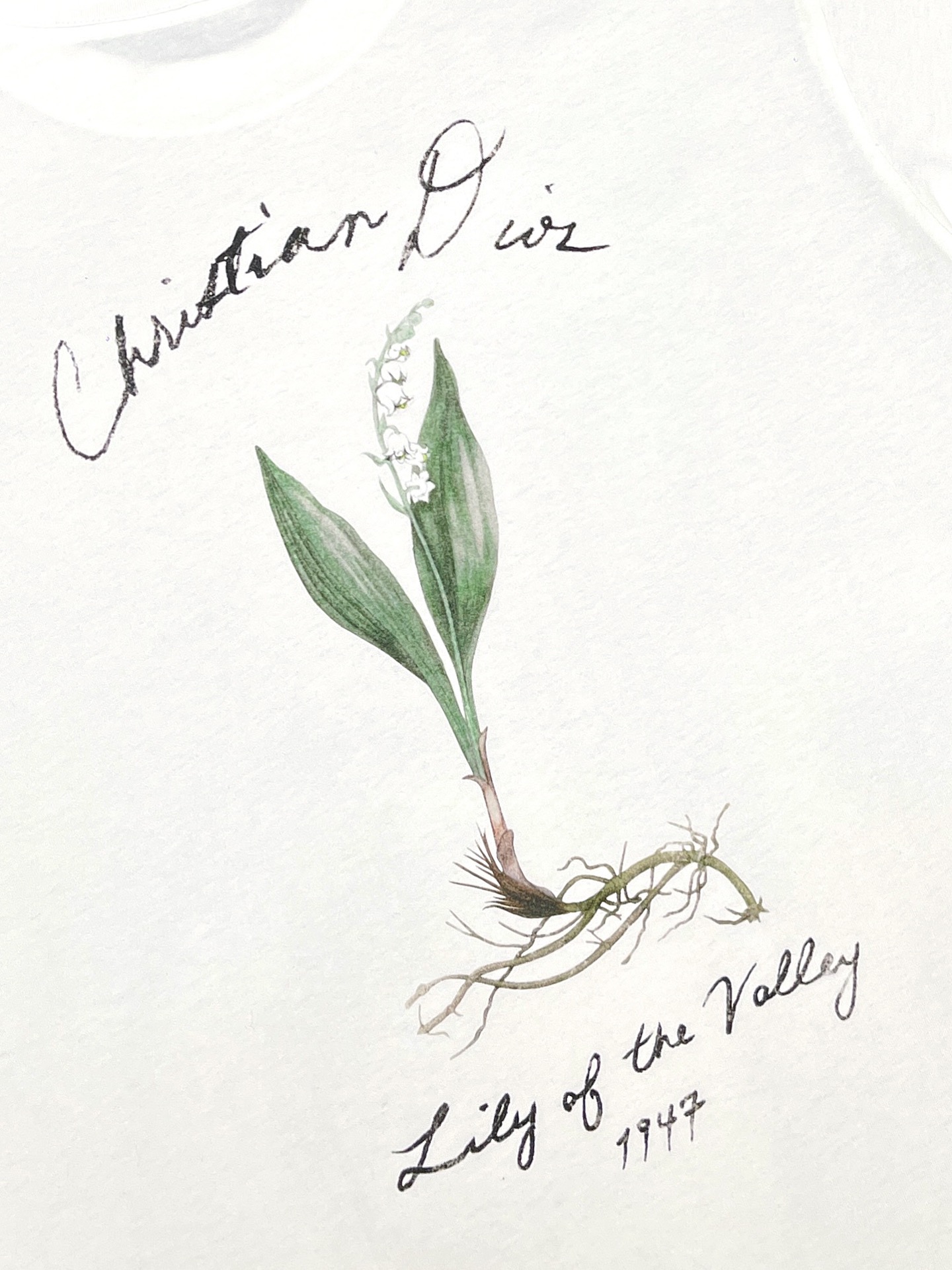 D I O R 디올 핸드라이팅 플라워 프린팅 반팔 티셔츠 “2COLOR” 레플리카 15번 이미지 - 의류 | 세미샵 레플리카 사이트