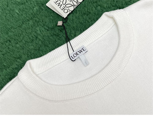 Loewe 로에베 아나그램 포켓 오버사이즈 맨투맨 3컬러 레플리카 20번 이미지 - 의류 | 세미샵 레플리카 사이트