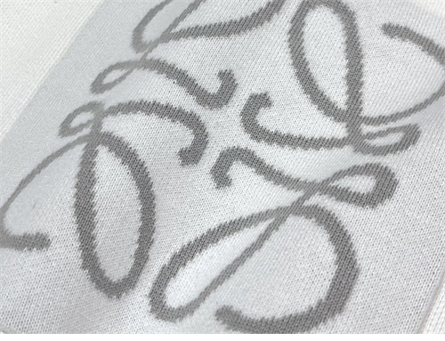 Loewe 로에베 아나그램 포켓 오버사이즈 맨투맨 3컬러 레플리카 22번 이미지 - 의류 | 세미샵 레플리카 사이트