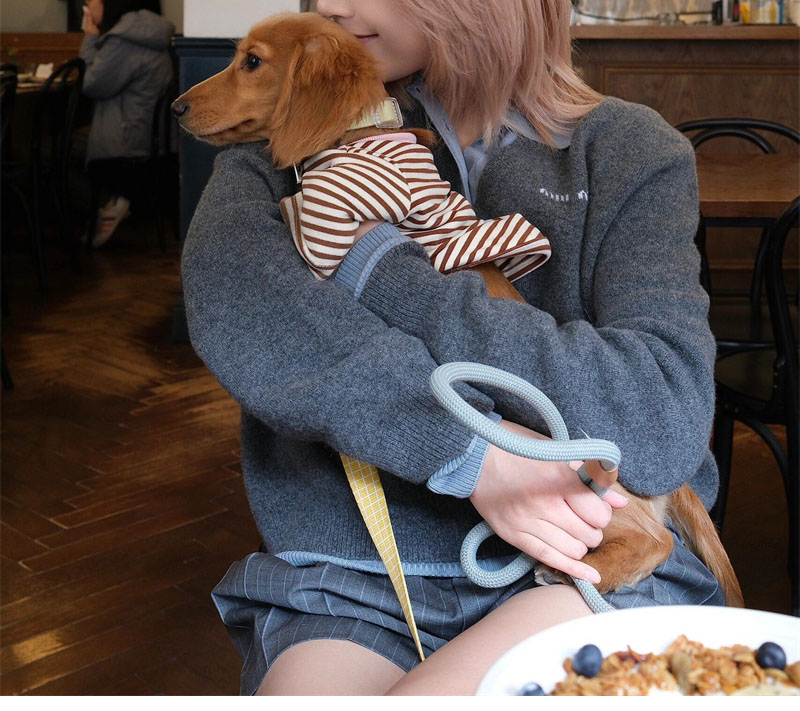 Miu Miu 미우미우 캐시미어 앤 울 폴로 니트 스웨터 레플리카 3번 이미지 - 의류 | 세미샵 레플리카 사이트