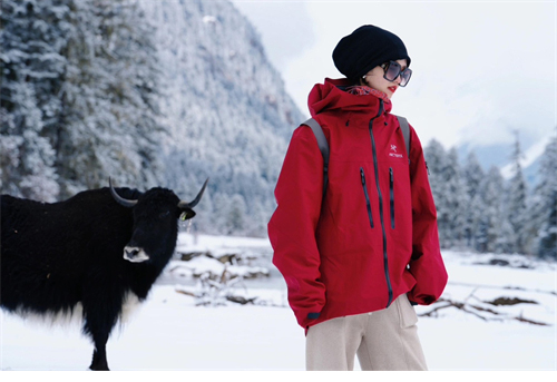 Arc Teryx 아크테릭스 알파 SV 자켓 고어택스 프로 5컬러 레플리카 36번 이미지 - 의류 | 세미샵 레플리카 사이트