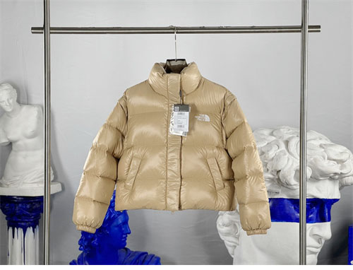 *기타 노스페이스 86 글로시 디테처블 다운 패딩 레플리카 2번 이미지 - 의류 | 세미샵 레플리카 사이트