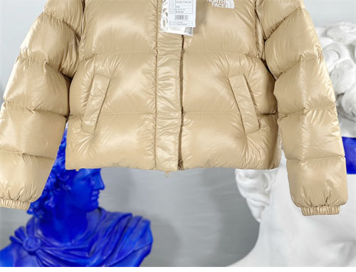 *기타 노스페이스 86 글로시 디테처블 다운 패딩 레플리카 6번 이미지 - 의류 | 세미샵 레플리카 사이트