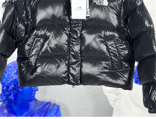 *기타 노스페이스 86 글로시 디테처블 다운 패딩 레플리카 15번 이미지 - 의류 | 세미샵 레플리카 사이트