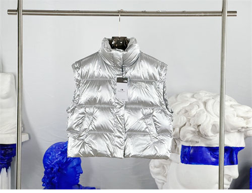 *기타 노스페이스 86 글로시 디테처블 다운 패딩 레플리카 21번 이미지 - 의류 | 세미샵 레플리카 사이트