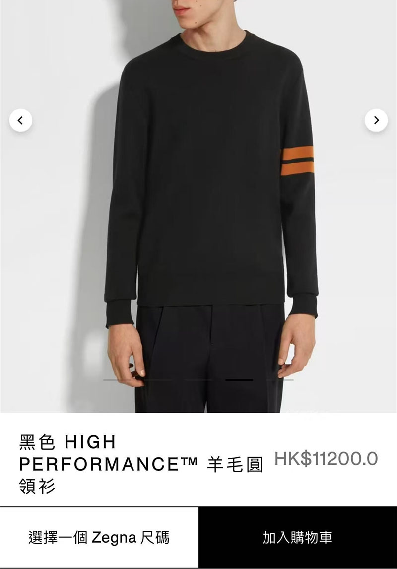 기타 제냐 하이 퍼포먼스 울 크루넥 스웨터 레플리카 13번 이미지 - 의류 | 세미샵 레플리카 사이트