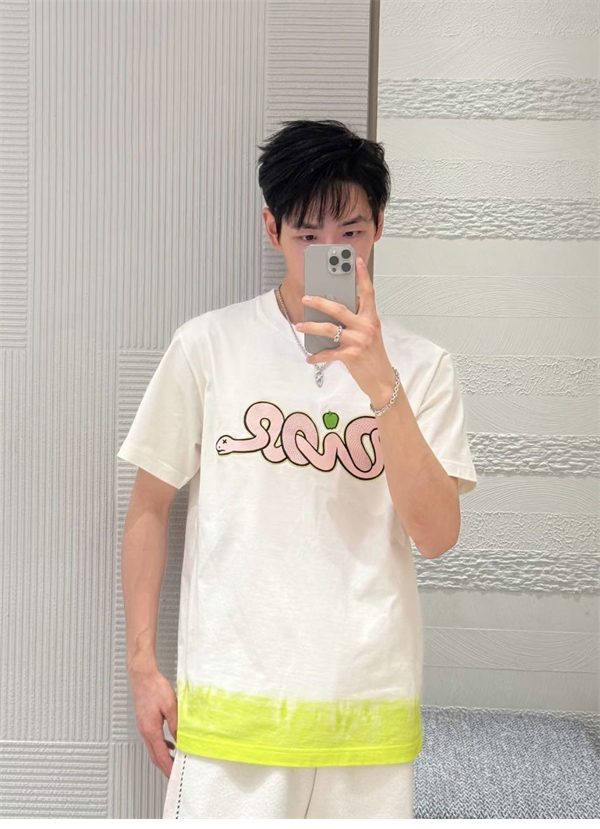디올 x KAWS 로고 반팔 티셔츠（레어） - 상세 이미지