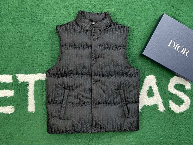 디올 디올 오블리크 다운 베스트 레플리카 10번 이미지 - 의류 | 세미샵 레플리카 사이트