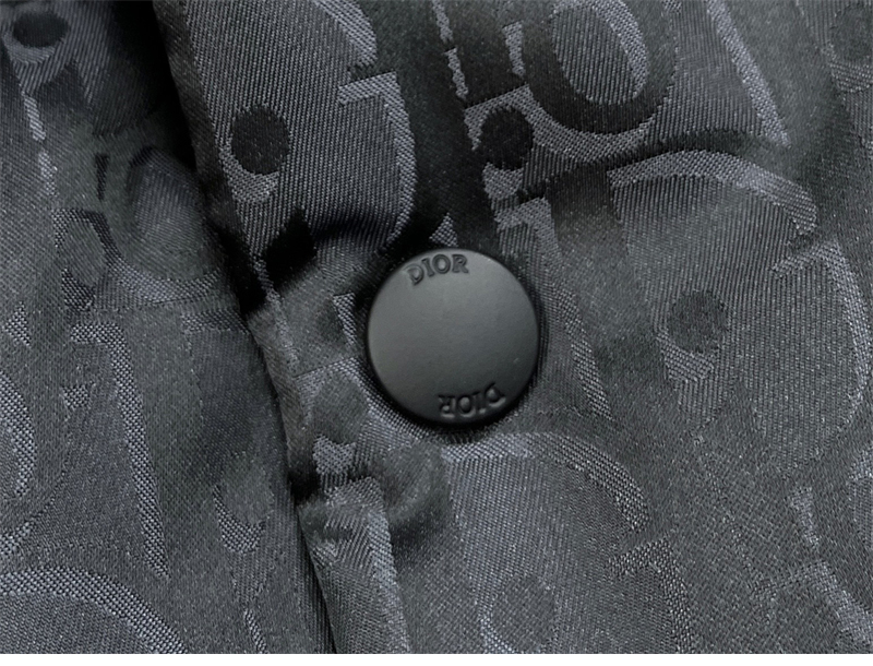 디올 디올 오블리크 다운 자켓（레어） 레플리카 12번 이미지 - 의류 | 세미샵 레플리카 사이트