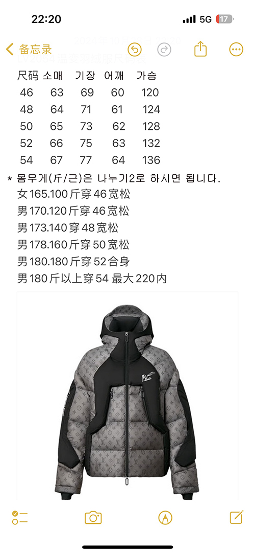 Louis Vuitton 루이비통 2054 히트 모노그램 리액티브 푸퍼 자켓 레플리카 16번 이미지 - 의류 | 세미샵 레플리카 사이트