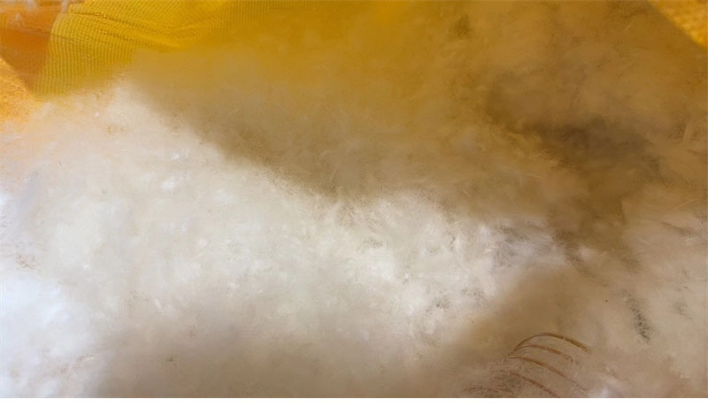 Moncler 몽클레어 Parana 파라나 후드 숏 다운 패딩 자켓 레플리카 28번 이미지 - 의류 | 세미샵 레플리카 사이트