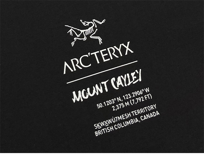 Arc Teryx 아크테릭스 Captive Legend 레터링 반팔 티셔츠 레플리카 10번 이미지 - 의류 | 세미샵 레플리카 사이트