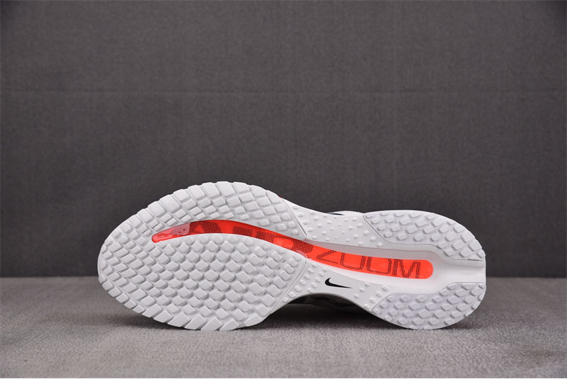 Nike 나이키 페가수스 프리미엄 서밋 화이트 브라이트 크림슨 HQ2592-101 레플리카 14번 이미지 - 신발 | 세미샵 레플리카 사이트