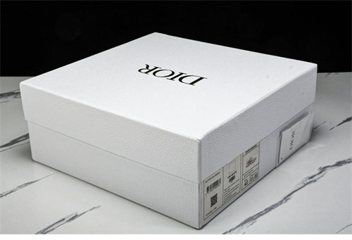 D I O R 디올 크로노 CD 스니커즈 레플리카 23번 이미지 - 신발 | 세미샵 레플리카 사이트