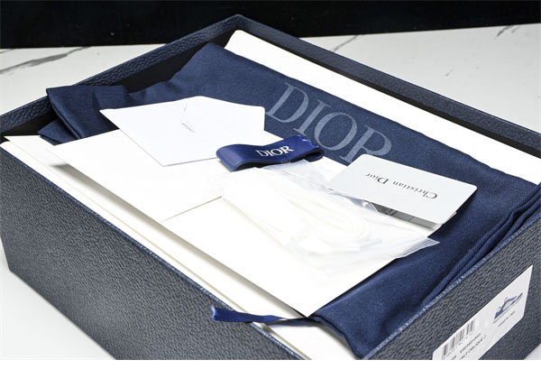 D I O R 디올 B27 로우탑 오블리크 스니커즈 레플리카 2번 이미지 - 신발 | 세미샵 레플리카 사이트