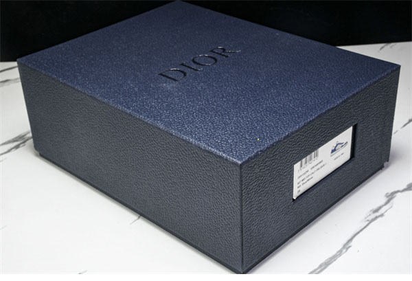 D I O R 디올 B27 로우탑 오블리크 스니커즈 레플리카 30번 이미지 - 신발 | 세미샵 레플리카 사이트