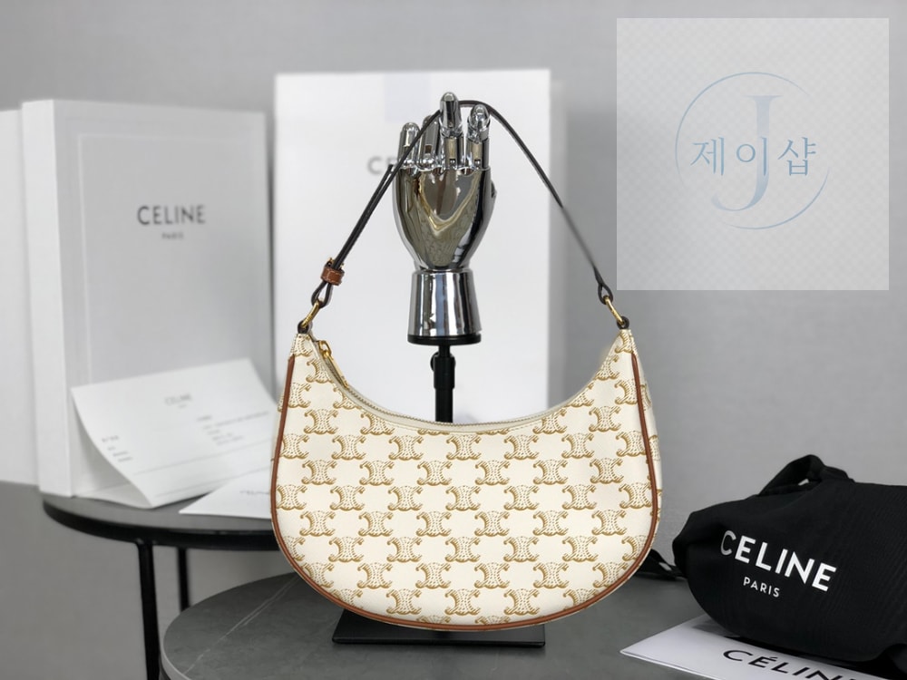 Celine Ava Bag in Triomphe Canvas and Calfskin