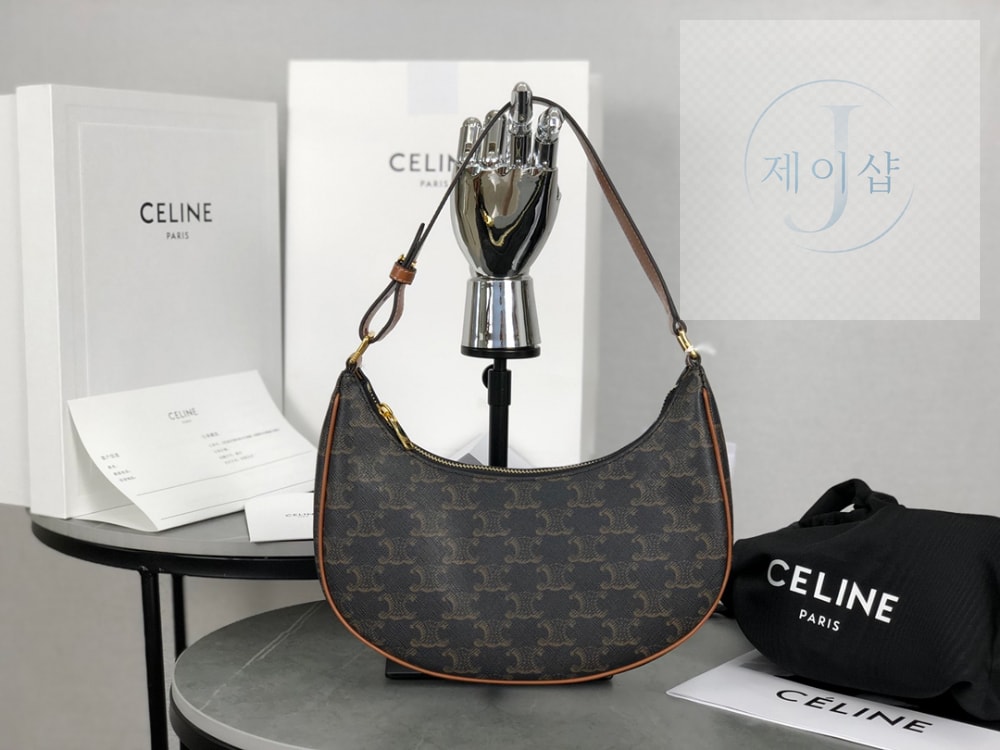 Celine Ava Bag in Triomphe Canvas and Calfskin