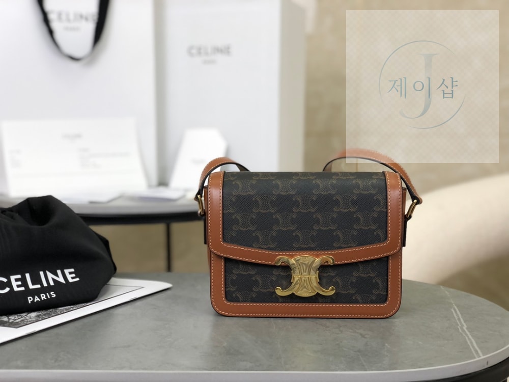 Celine Teen Triomphe Canvas Bag