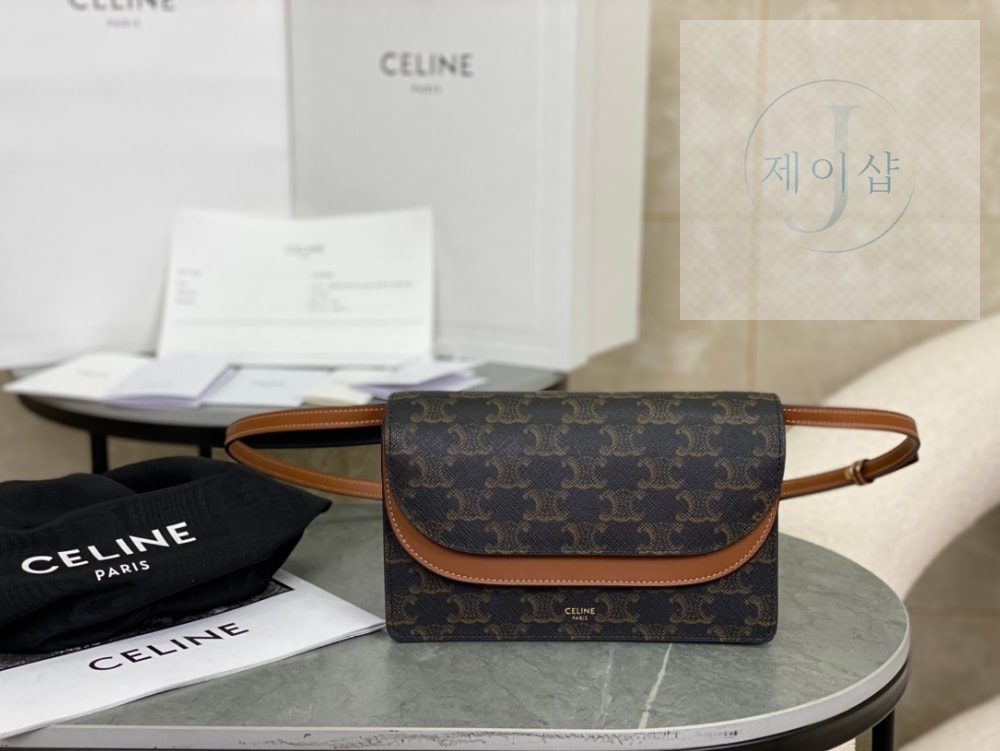 Celine Wallet on strap in Triomphe Canvas
