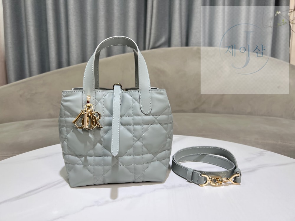 Dior Toujours Vertical Small