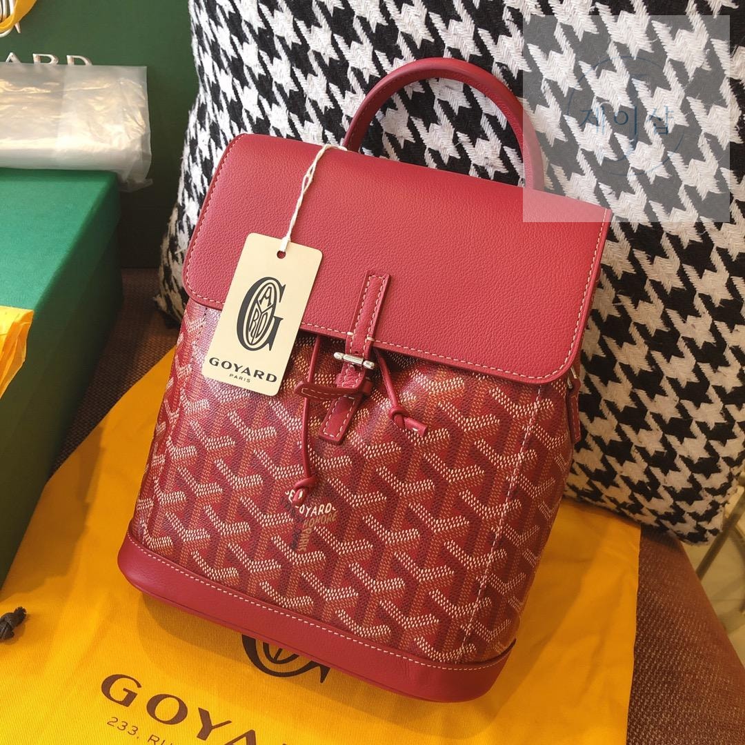 Goyard Alpin Mini - 상세 이미지