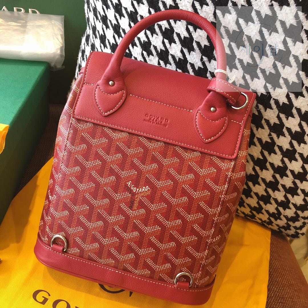 Goyard Alpin Mini - 상세 이미지