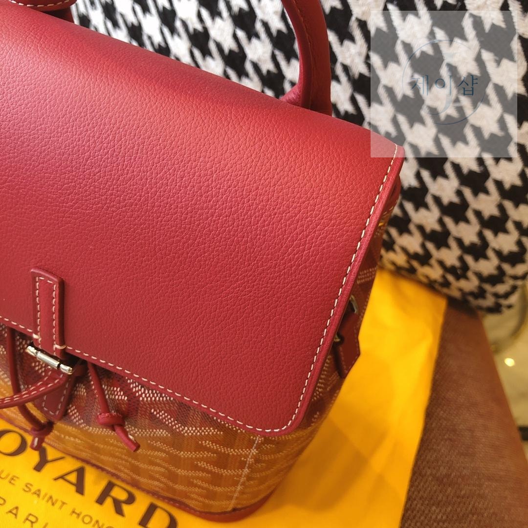 Goyard Alpin Mini - 상세 이미지