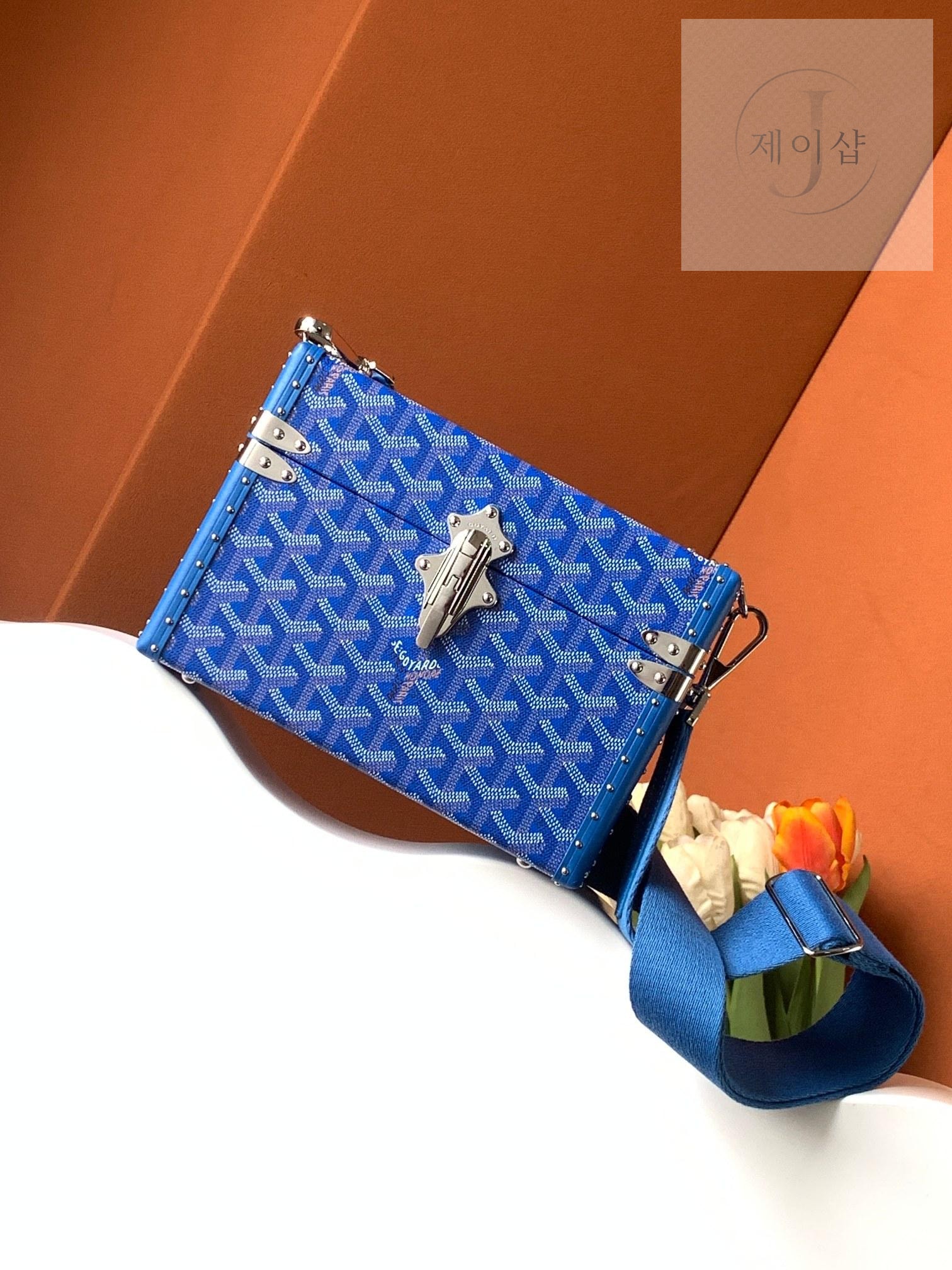 Goyard Cassette Trunk