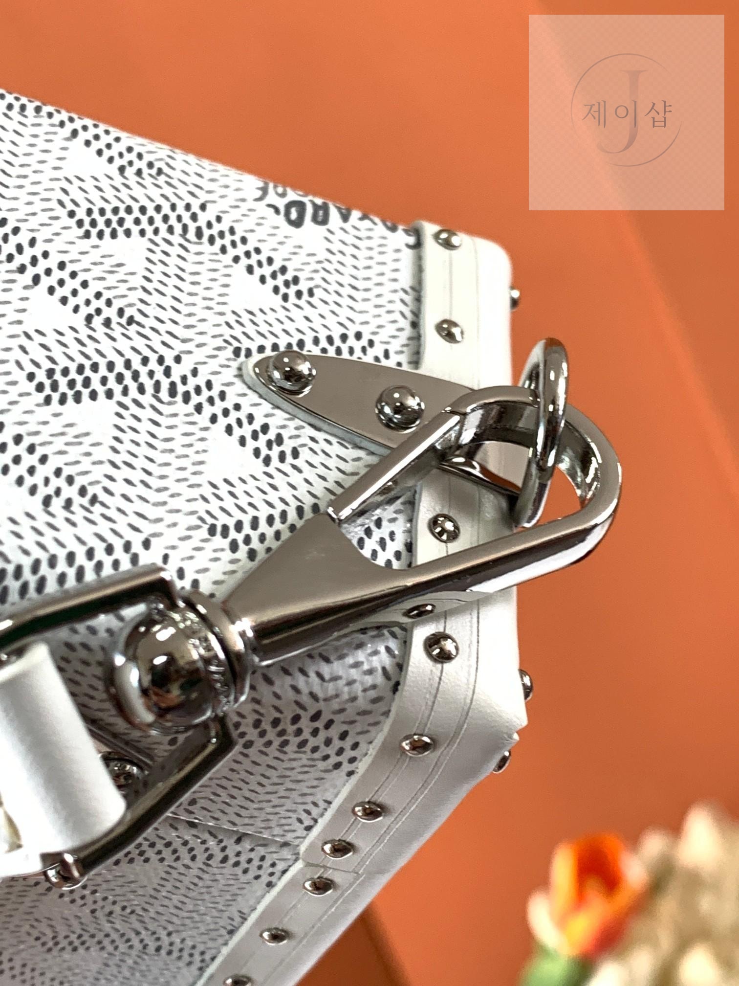 Goyard Cassette Trunk - 상세 이미지