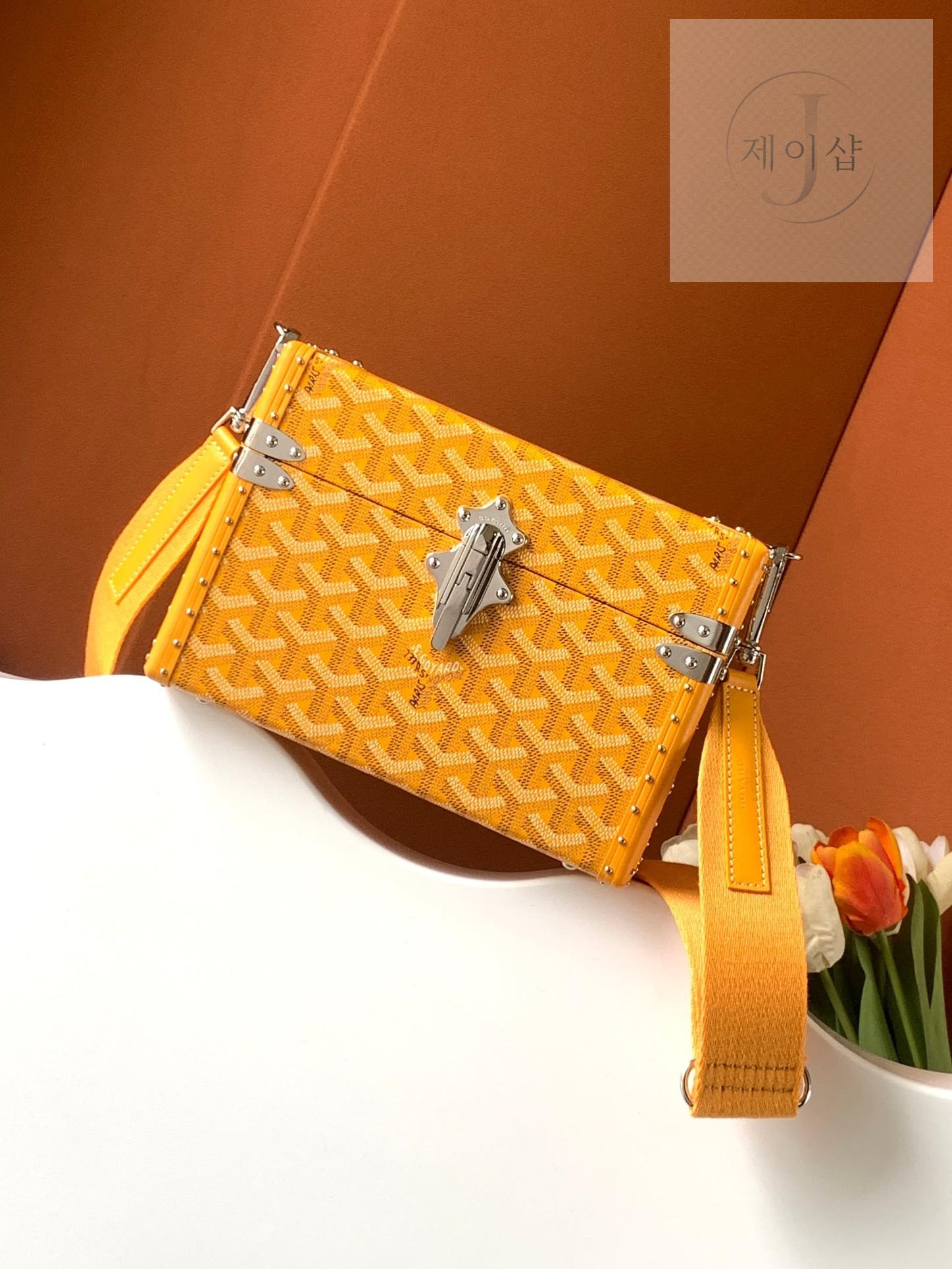 Goyard Cassette Trunk - 상세 이미지