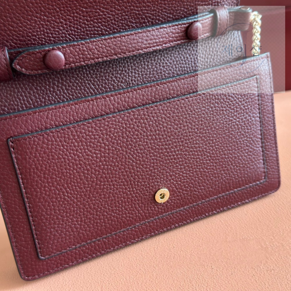 Gucci Dionysus Wallet On Chain - 상세 이미지